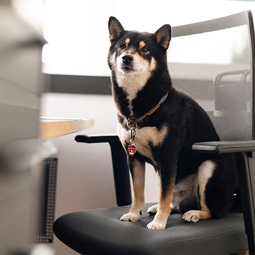 Nio , Feel-Good-Manager, Markdorf