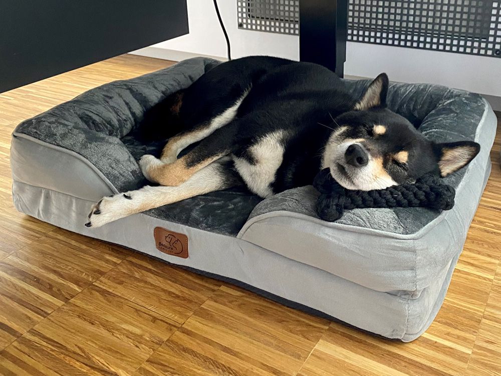 Hunde